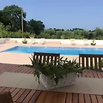Bianca N F Ostuni