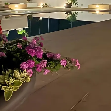 Bianca N F * 奥斯图尼