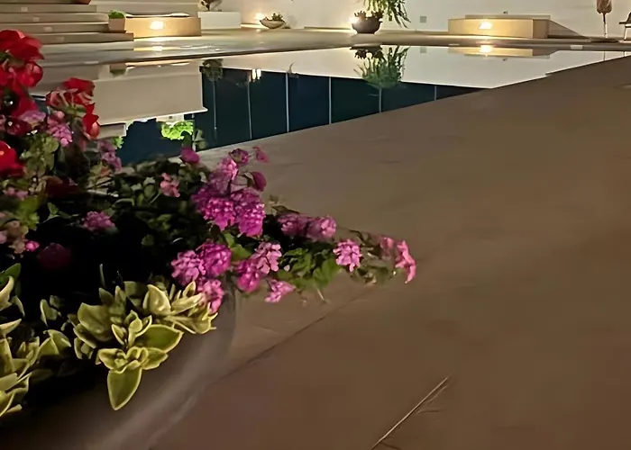 Bianca N F * 奥斯图尼